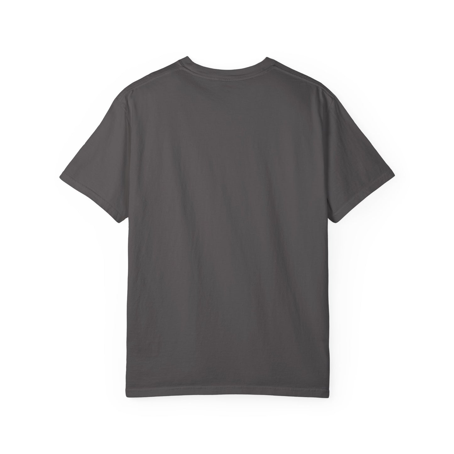 Cheetahs Softball Comfort Colors T-Shirt | Unisex Garment-Dyed Spirit Wear, Team Pride, Free Shipping